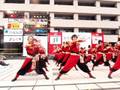 videos de Yoh Sa Koi-    Japanese Youthful Dance Festival
