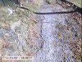 salti in loc pedret