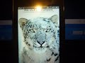 Mac Snow Leopard OSx and iNav Dreamboard Theme for iPhone/iPod Touch (AWESOME)