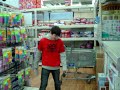 fitzgeralds-multilingual-translator.html