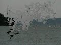 1° OPEN RACE downwind a Tuoro