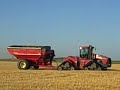 Wheat harvest in northeastern North Dakota @ Lundeby Farms