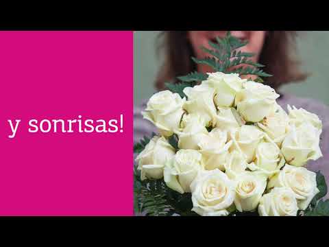 La app que revoluciona el mercado de flores a domicilio en Barcelona tiene m&aacute;s de 70 a&ntilde;os de historia
