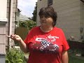 Woman describes pitbull attack on her cat, and threats