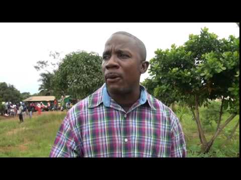 denials - THE TEARS, FEARS AND DENIAL ASSOCIATED WITH EBOLA: We bring you variant perspectives of residents of Banjor in the Virginia Township where the killer disease...