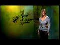 El escarabajo verde - 'Azafrán en fiesta'