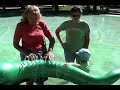 nessie:  the musical water serpent