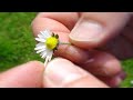 Indicate - Digitale Fotografien