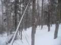 Adirondack backcountry ski- Angel Slides, Wright Peak