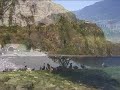 O Sitio do Lugar de Baixo fica situado na costa sul da Madeira entre as vilas da Ribeira Brava e Ponta do Sol.Com o clima mais quente da Madeira é muito conhecido pela produção de frutos sub-tropicais, especialmente a banana, anonas peras abacates e flores.A Lagoa do Lugar de Baixo é um lugar de lazer que atrai muitos pássaros de outras partes, que por vezes se desviam da sua rota migratória normal entre a Europa e Africa.O Palacete do Lugar de Baixo que foi recentemente renovado, merece uma visita pela sua beleza, tal como a maior Marina da Região Autónoma da Madeira.