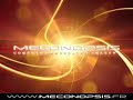 Logo Meconopsis Logo Meconopsis
