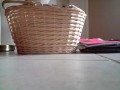 Cool Cat In Action xD