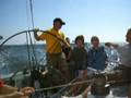 videos de sailing