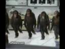 KoLbaSt? WwW.SohbeT66.Com �y DengesizZ