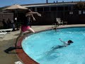 spartans live in pools