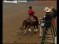 chic train italien2.wmv