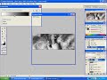 Basic Signature Tutorial
