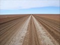 Bill Watrous The Road Goes Ever Onward