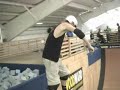 Skatee Skatee