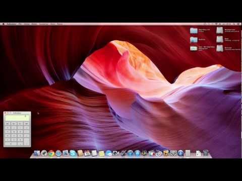 mountain lion