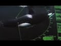 Killer Whales and Sonar Tracking - BBC