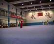 Liu Xiao Lei Daoshu Wushu