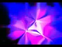 Abstract Expression