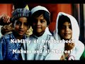 Nobility of Brotherhood (3/5) Nobility of Brotherhood (3/5)