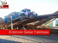 Erzincan G�ll�ce K�y� - Pancar Tarlas?