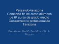 Sonata en Re M (1er.Mov.) W. A. Mozart