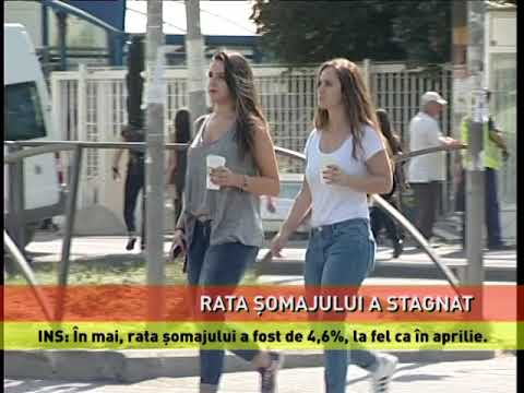 INS: Rata şomajului în formă ajustată sezonier a stagnat în mai la 4,6%