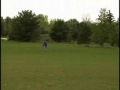 Detection Dog Training Detection Dog Training