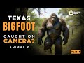 videos de Part 4 Texas Bigfoot - Animal X Natural Mystery Unit