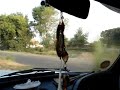 Leaving IIM Lucknow Campus - the Jungle Leaving IIM Lucknow Campus - the Jungle