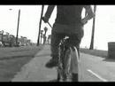 Albert Hammond Jr. - In Transit - Elusive Films