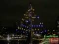 Árvore de Natal Iluminada na Ponte Estaiada - São Paulo