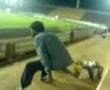 Bebado no estádio vendo futebol...Da aula ainda.