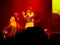 Macaco Ingravitto