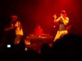 Macaco Ingravitto
