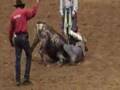 2007 IGRA Denver Gay Rodeo - Chute Dogging