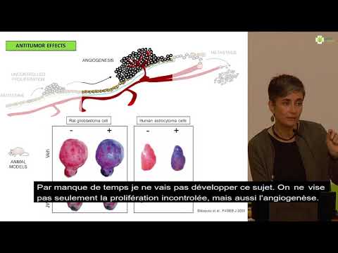 Image de prévisualisation YouTube