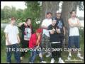Funny Wiggers Compilation