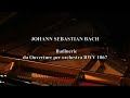 J.S.Bach: Badinerie from Ouverture for orchestra BWV 1067 (Yushkevich transcription)
