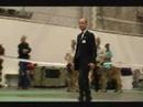 World Dog Show part 3