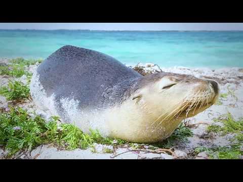 Western Australia's newest National Park - the Houtman Abrolhos Islands