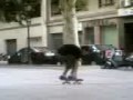 ElChino intentando hacer un ollie ElChino intentando hacer un ollie