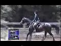EQUESTRIAN HORSE ACCIDENT EQUESTRIAN HORSE ACCIDENT