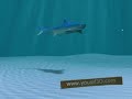 3D For Different Events