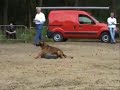 Belgian Ringsport Demonstration