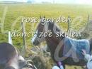 rose garden dance
